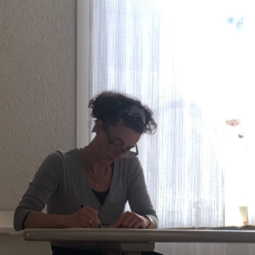 Ilja Velthuis schrijft